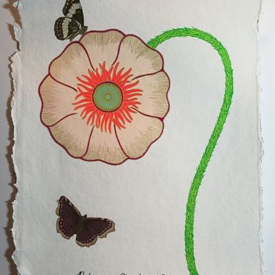 Botanicus Decoratus #2