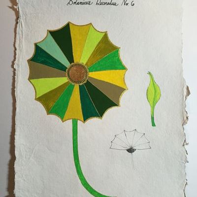 Botanicus Decoratus #6
