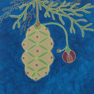 Botanical Study #3