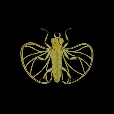 Gold Bug #1