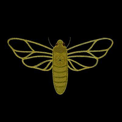 Gold Moth #3