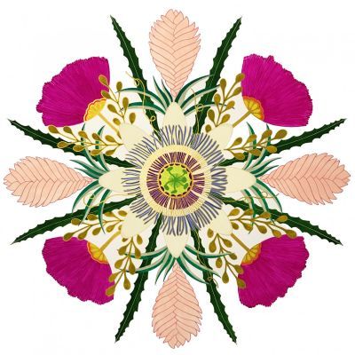 Aruba Mandala