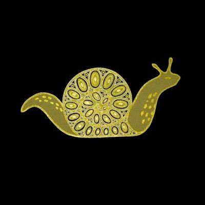 Gold Snail