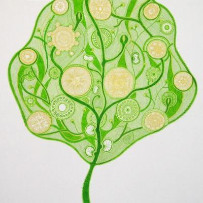 Verdant Vine: Available